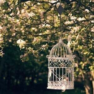 Mess-Free Plant Hanging